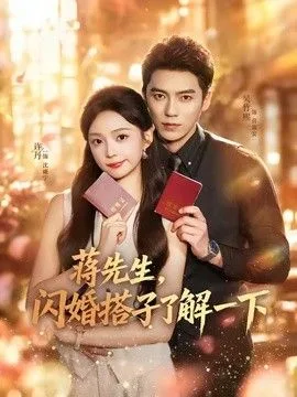 蒋先生，闪婚搭子了解一下