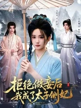 拒绝做妾后我成了太子侧妃（一纸离人愁）