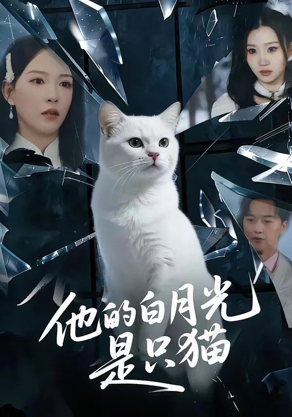 他的白月光是只猫