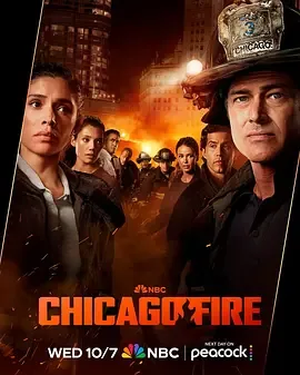 芝加哥烈焰 第十五季